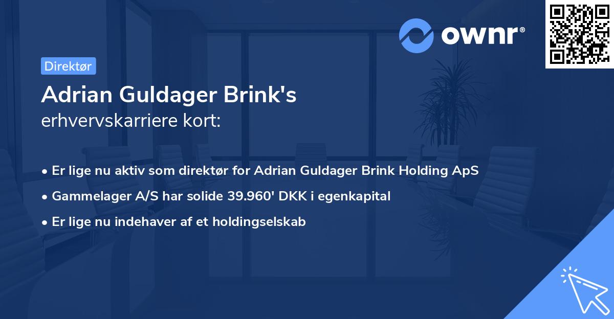 Adrian Guldager Brink's erhvervskarriere kort