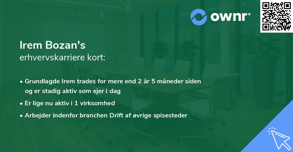 Irem Bozan's erhvervskarriere kort