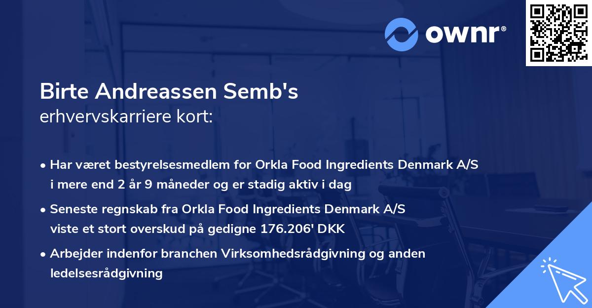 Birte Andreassen Semb's erhvervskarriere kort