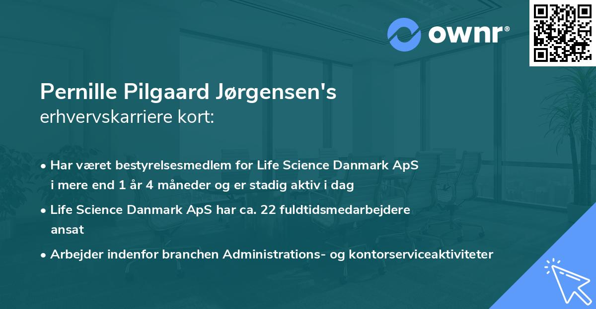 Pernille Pilgaard Jørgensen's erhvervskarriere kort