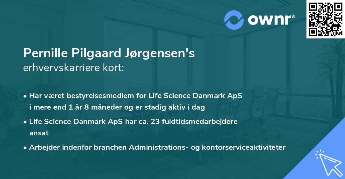 Pernille Pilgaard Jørgensen's erhvervskarriere kort