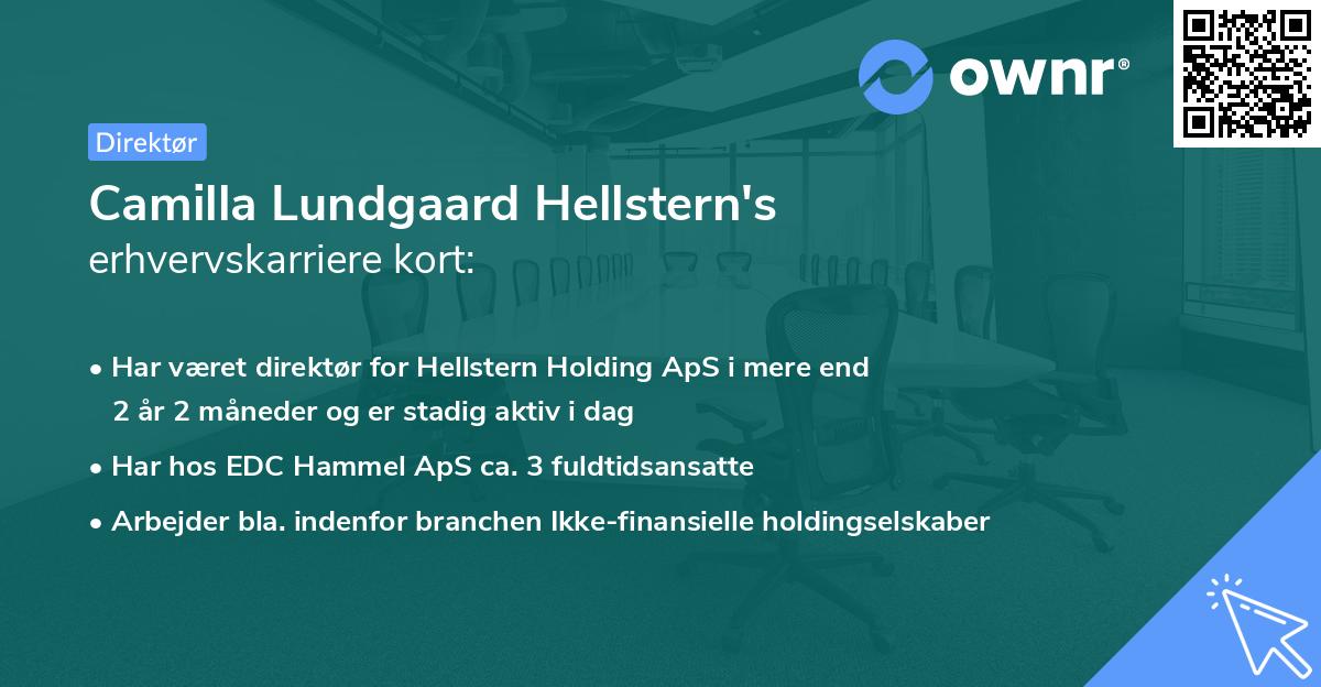 Camilla Lundgaard Hellstern's erhvervskarriere kort