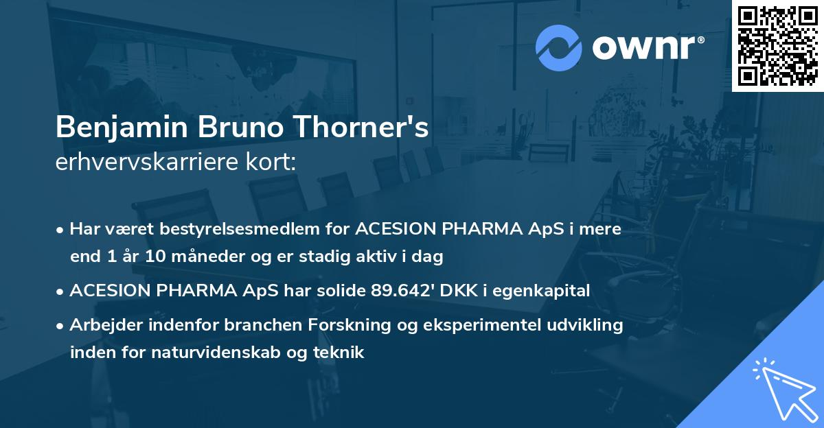 Benjamin Bruno Thorner's erhvervskarriere kort