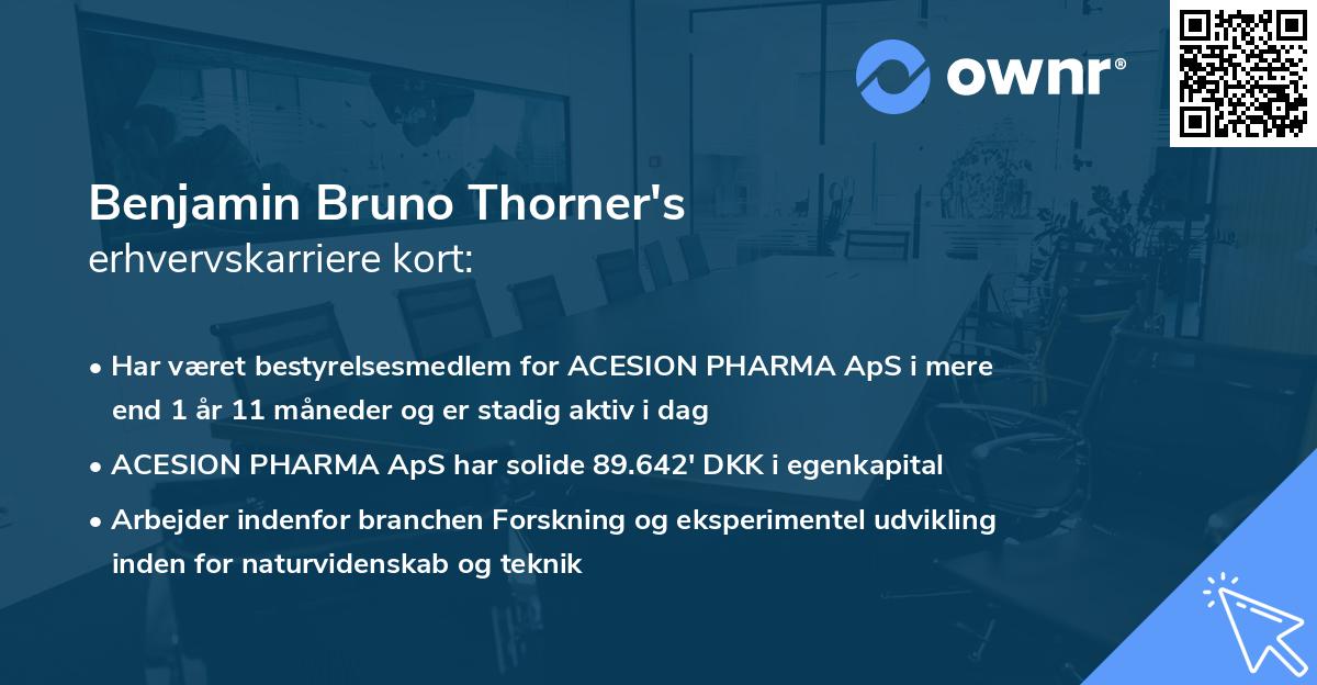 Benjamin Bruno Thorner's erhvervskarriere kort