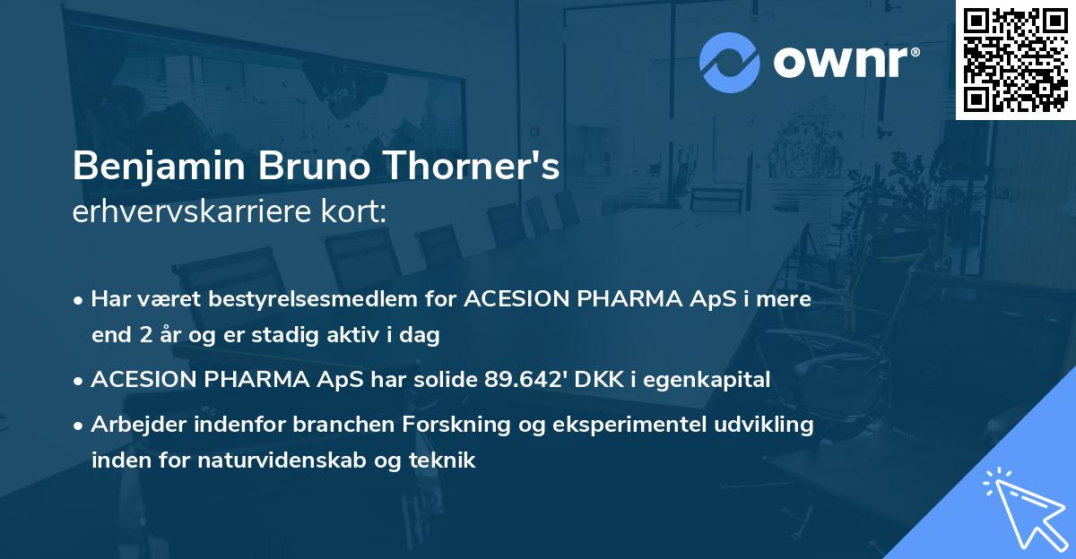 Benjamin Bruno Thorner's erhvervskarriere kort