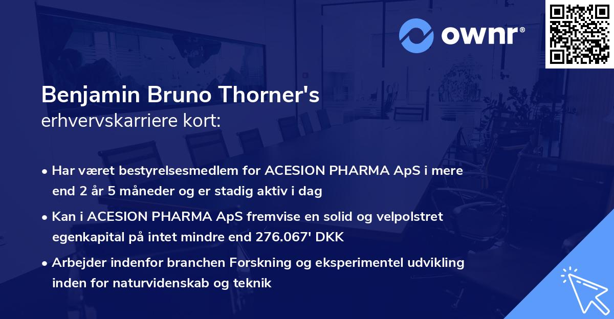 Benjamin Bruno Thorner's erhvervskarriere kort