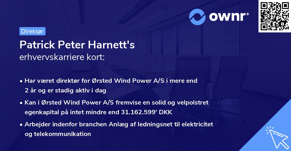 Patrick Peter Harnett's erhvervskarriere kort