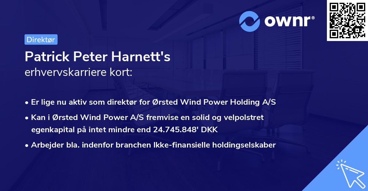 Patrick Peter Harnett's erhvervskarriere kort