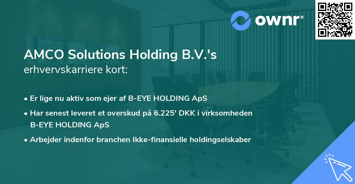 AMCO Solutions Holding B.V.'s erhvervskarriere kort