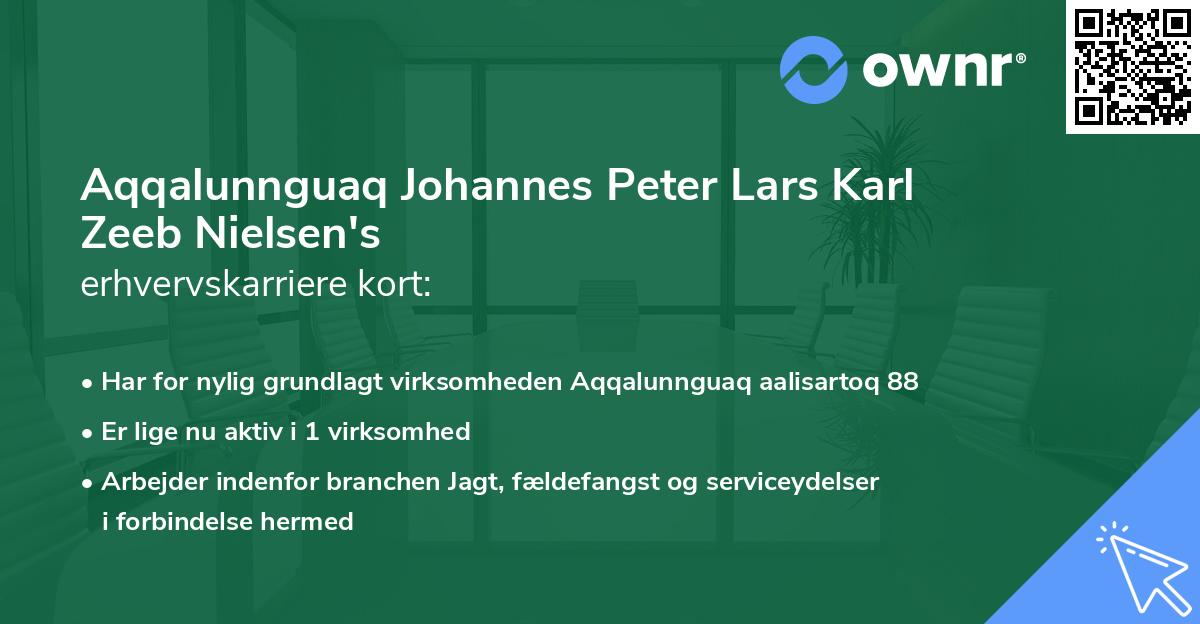 Aqqalunnguaq Johannes Peter Lars Karl Zeeb Nielsen's erhvervskarriere kort