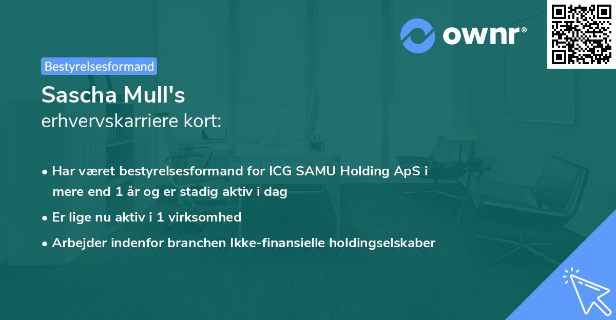 Sascha Mull's erhvervskarriere kort