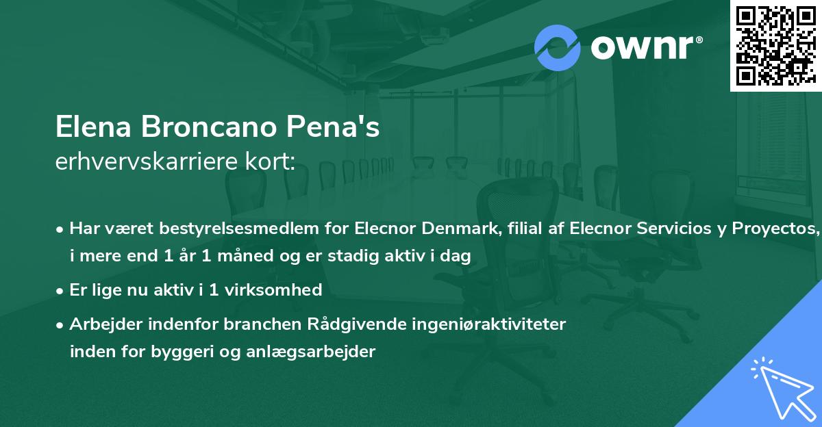 Elena Broncano Pena's erhvervskarriere kort
