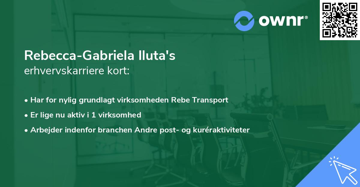 Rebecca-Gabriela Iluta's erhvervskarriere kort