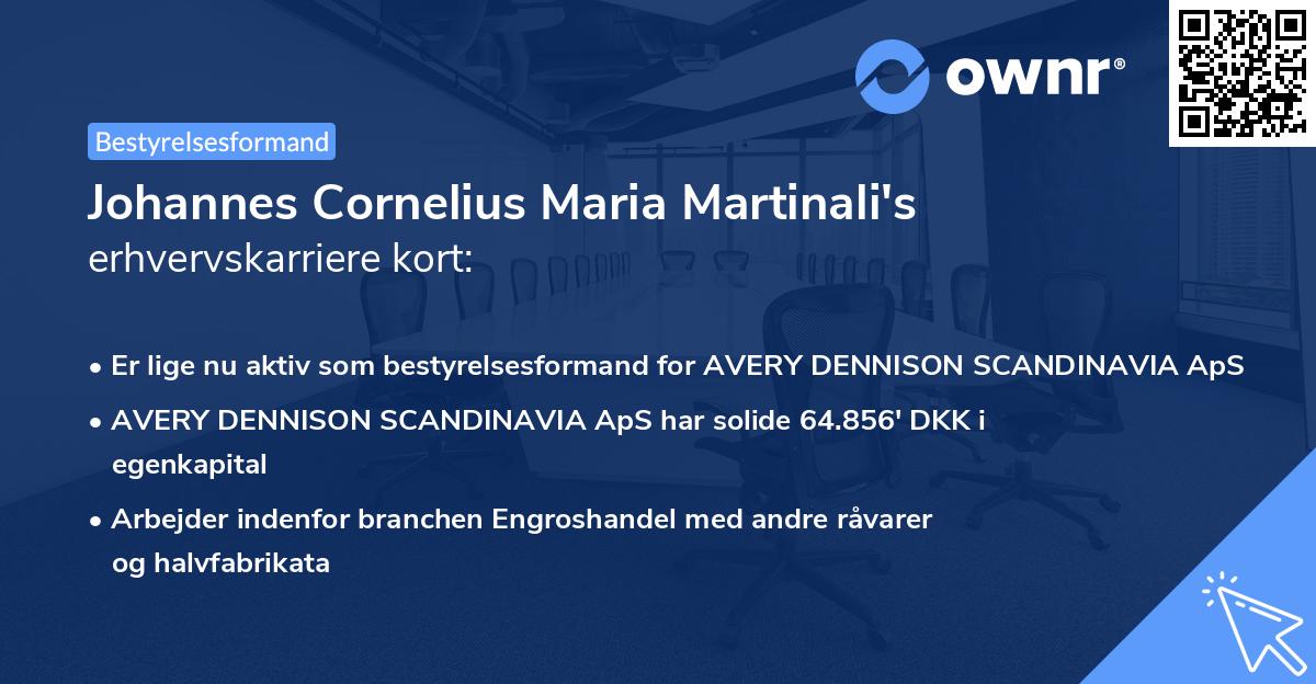 Johannes Cornelius Maria Martinali's erhvervskarriere kort