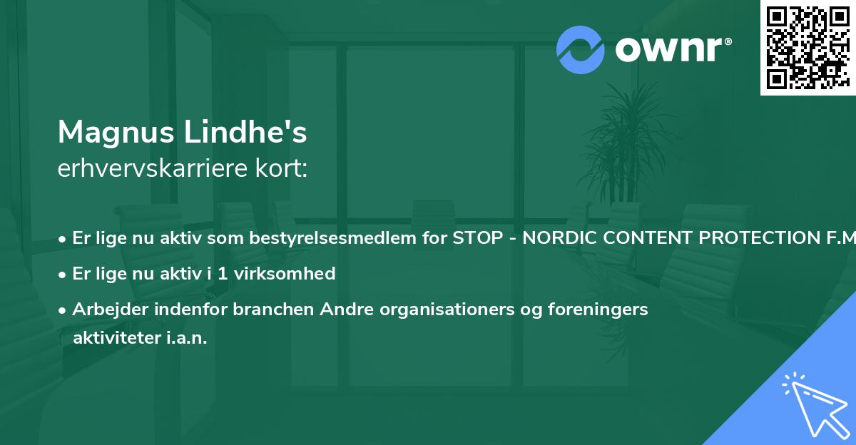 Magnus Lindhe's erhvervskarriere kort