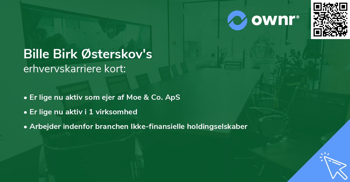 Bille Birk Østerskov's erhvervskarriere kort