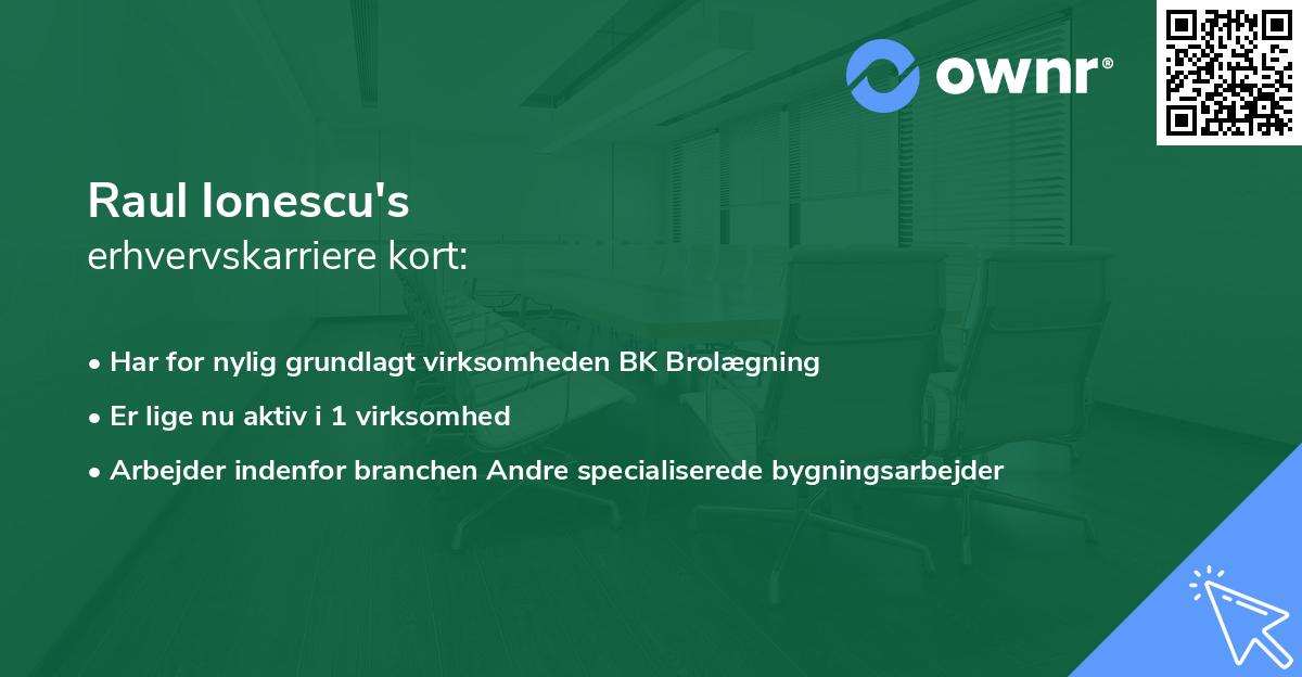 Raul Ionescu's erhvervskarriere kort