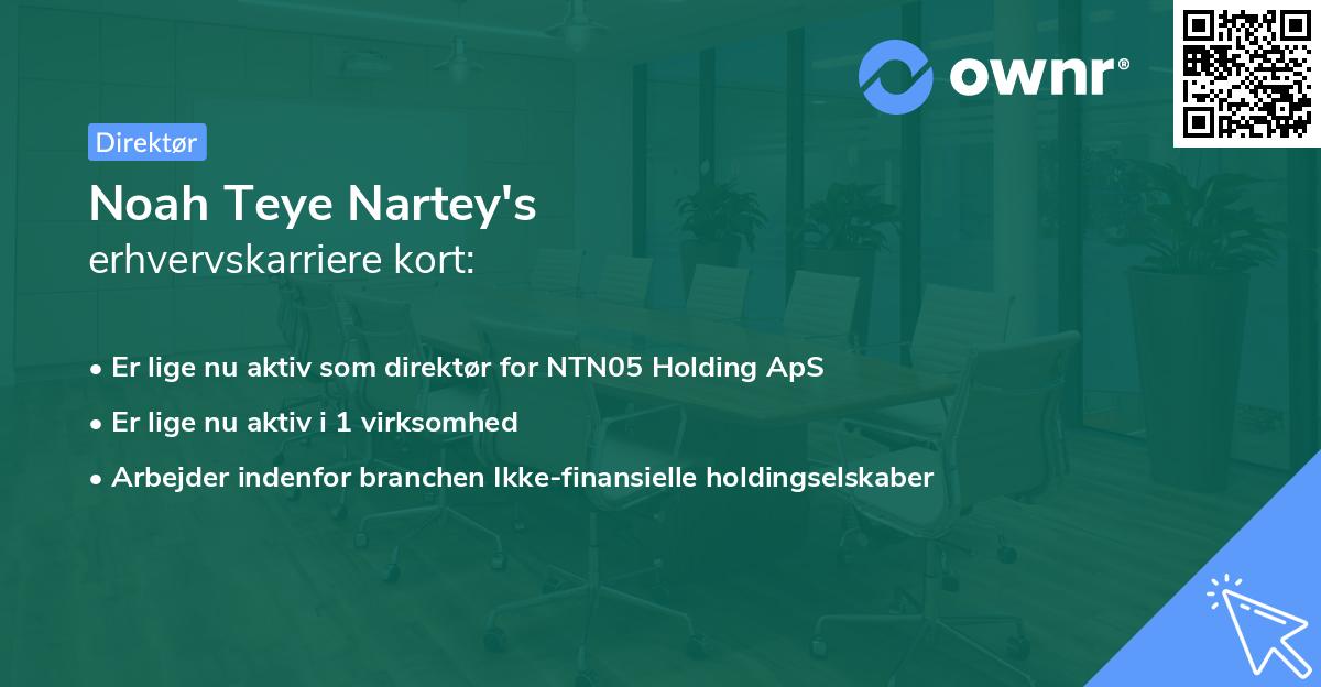 Noah Teye Nartey's erhvervskarriere kort