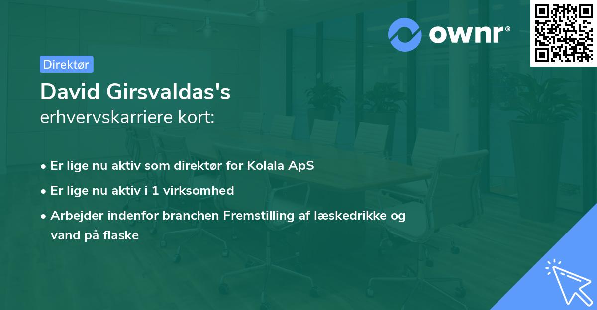David Girsvaldas's erhvervskarriere kort