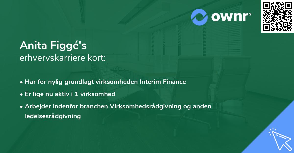 Anita Figgé's erhvervskarriere kort