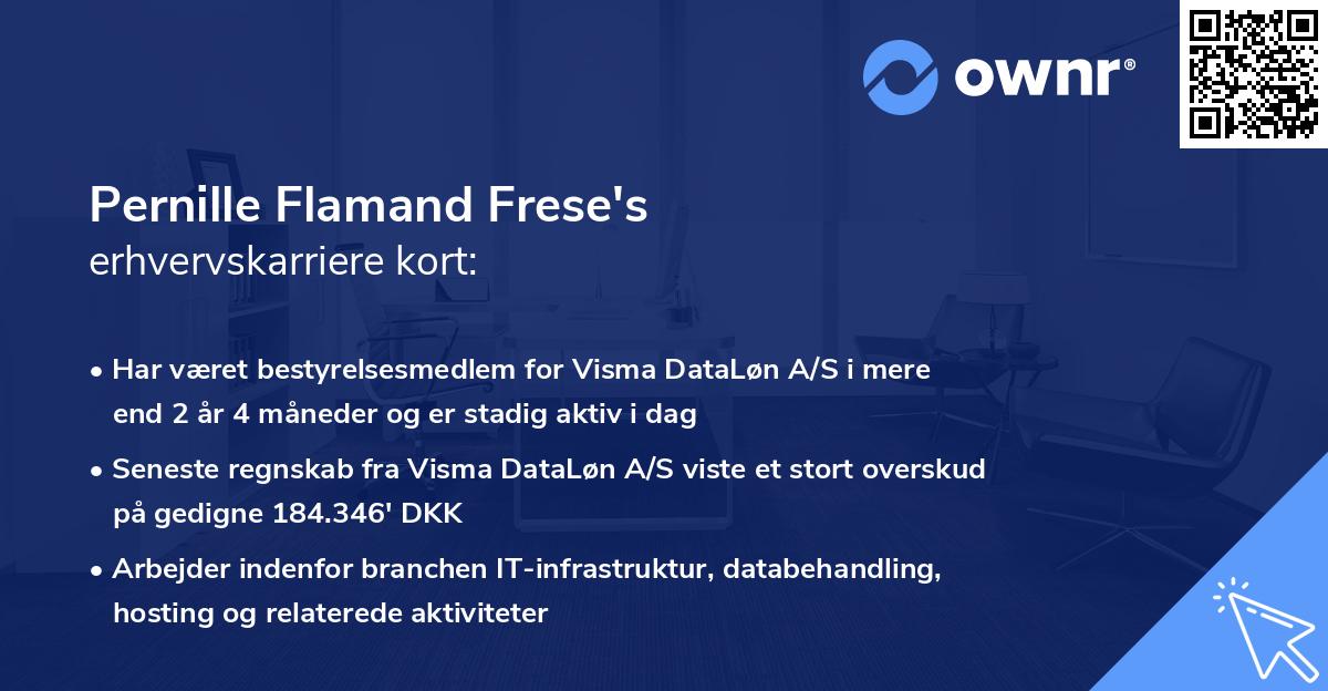 Pernille Flamand Frese's erhvervskarriere kort