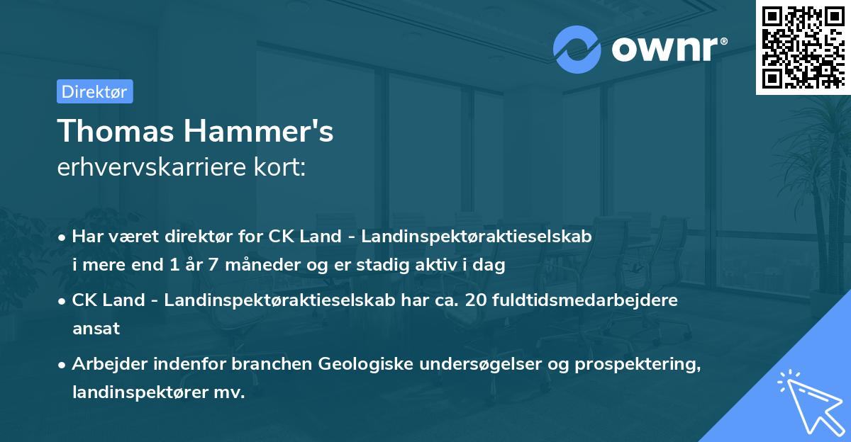 Thomas Hammer's erhvervskarriere kort