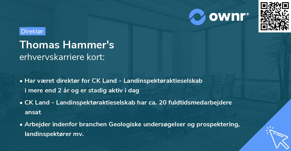 Thomas Hammer's erhvervskarriere kort