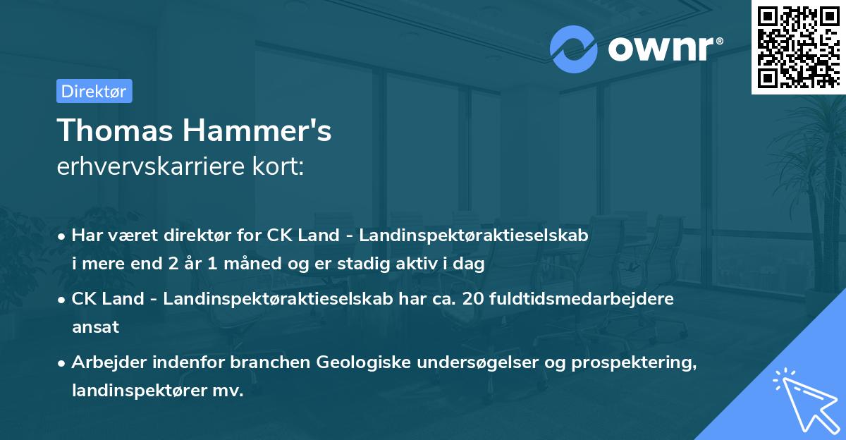 Thomas Hammer's erhvervskarriere kort