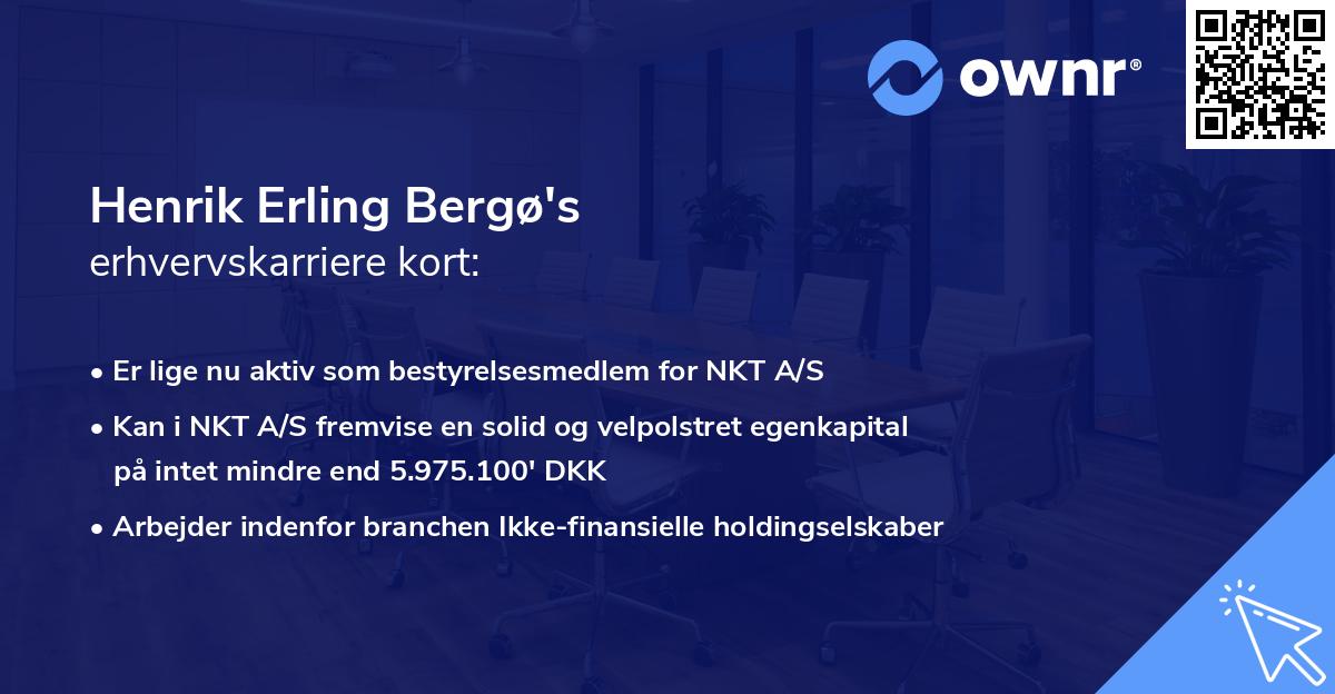 Henrik Erling Bergø's erhvervskarriere kort