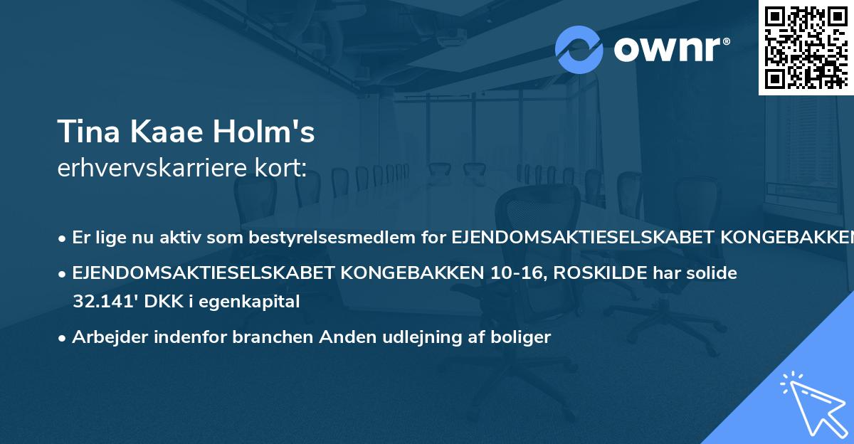 Tina Kaae Holm's erhvervskarriere kort