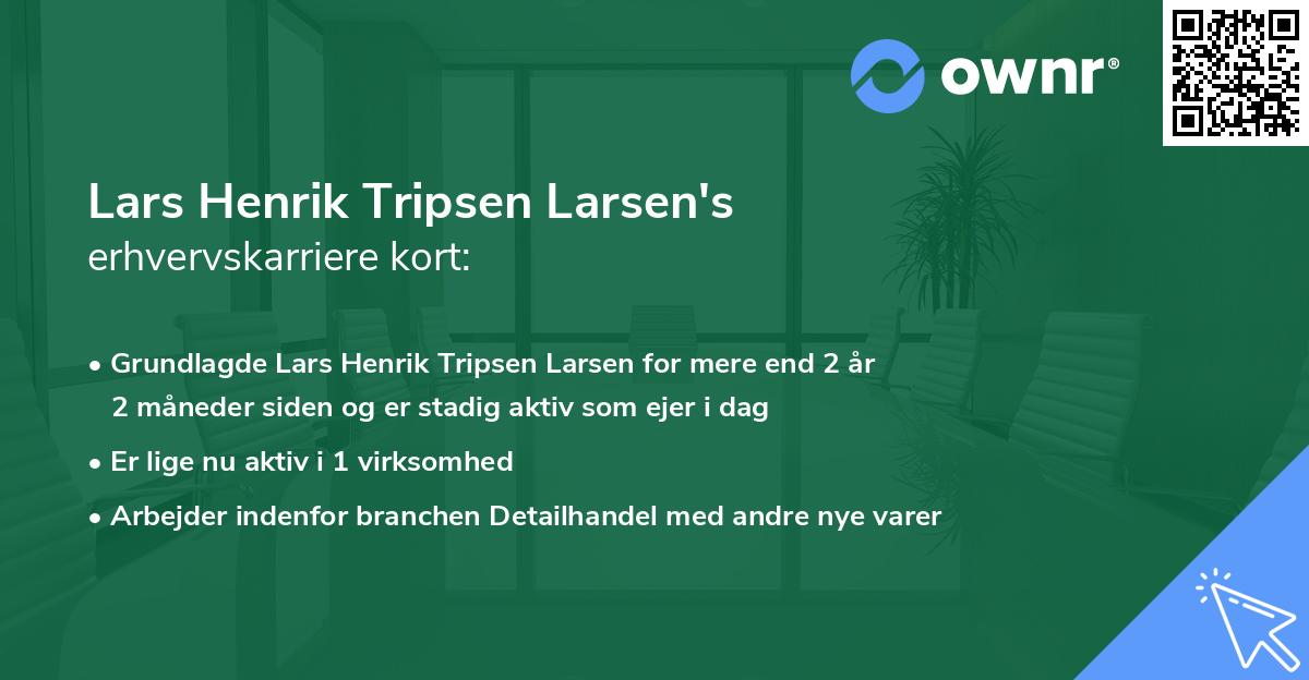 Lars Henrik Tripsen Larsen's erhvervskarriere kort