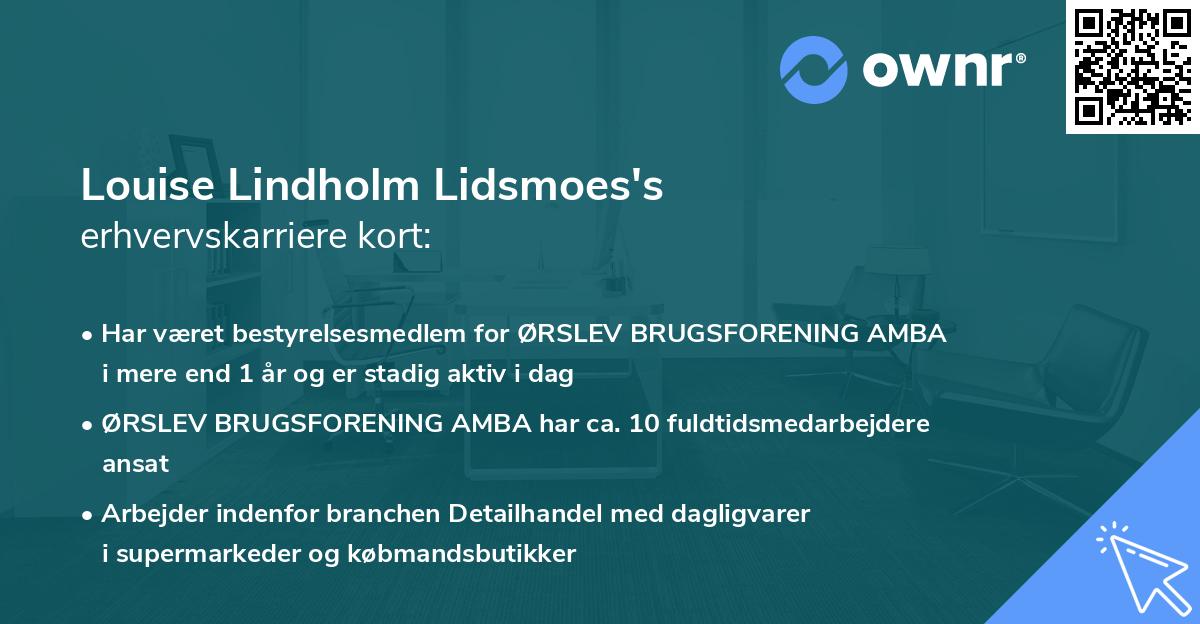 Louise Lindholm Lidsmoes's erhvervskarriere kort