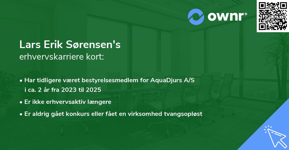 Lars Erik Sørensen's erhvervskarriere kort