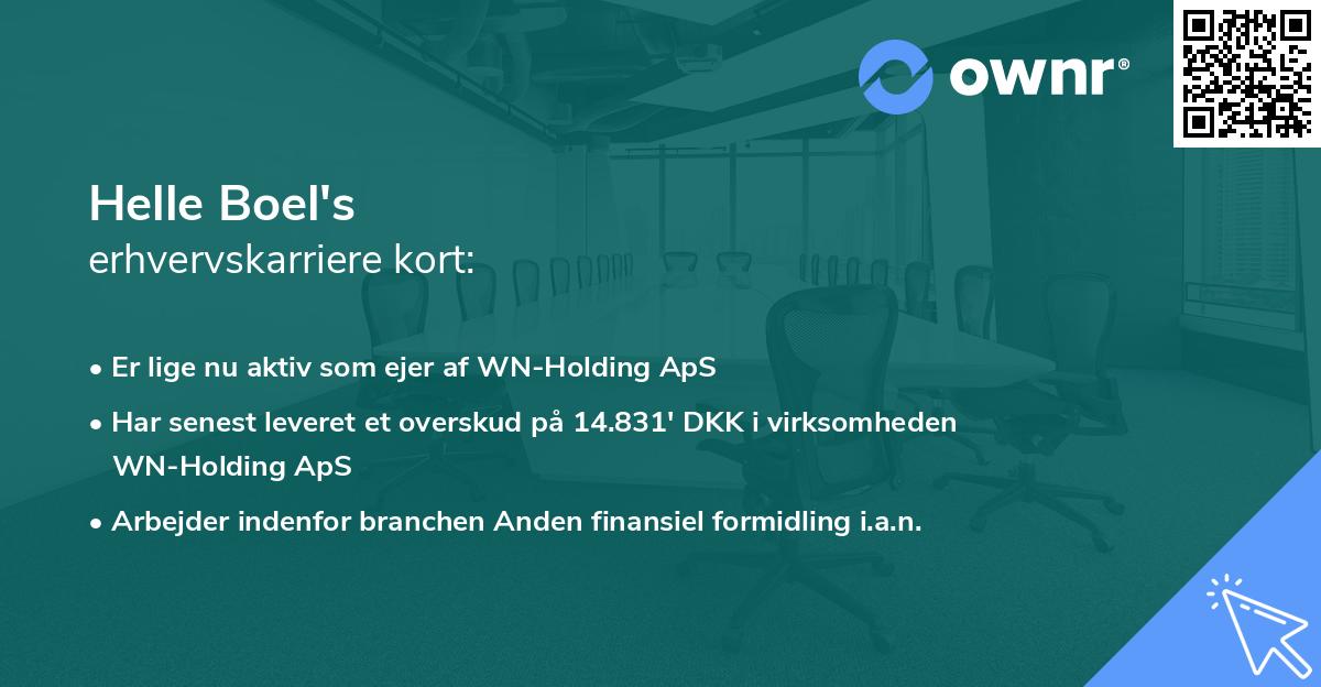 Helle Boel's erhvervskarriere kort