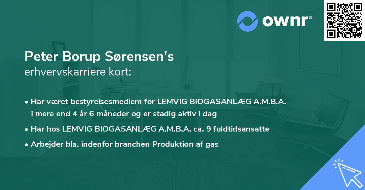 Peter Borup Sørensen's erhvervskarriere kort