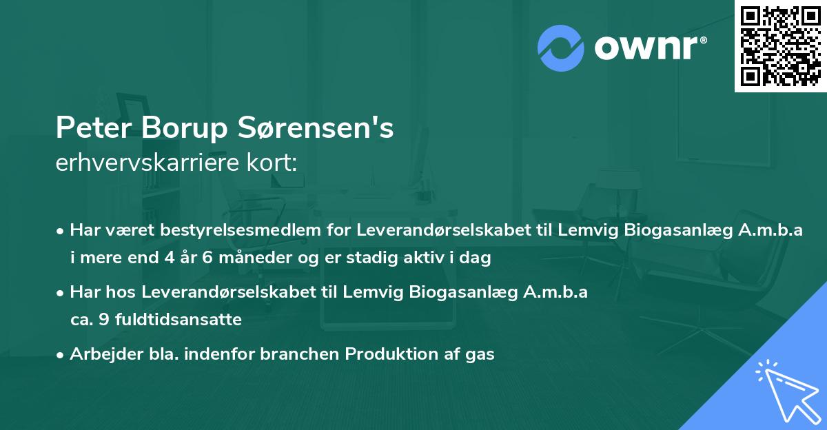 Peter Borup Sørensen's erhvervskarriere kort