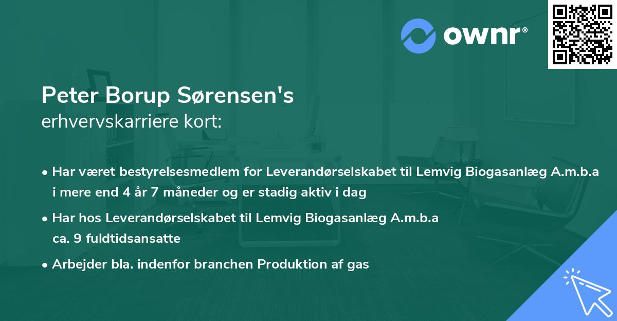 Peter Borup Sørensen's erhvervskarriere kort