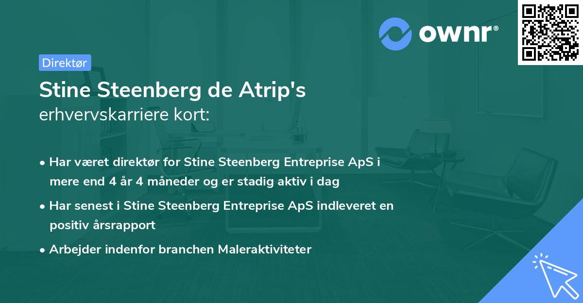 Stine Steenberg de Atrip's erhvervskarriere kort