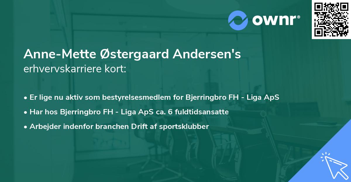 Anne-Mette Østergaard Andersen's erhvervskarriere kort