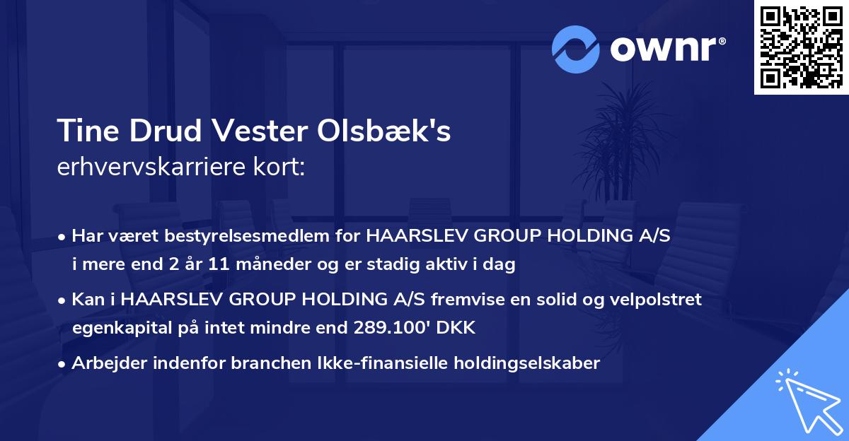 Tine Drud Vester Olsbæk's erhvervskarriere kort