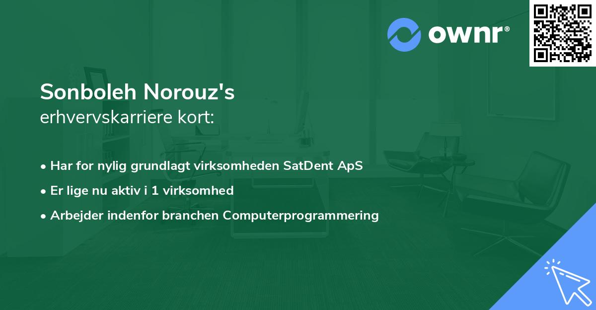 Sonboleh Norouz's erhvervskarriere kort