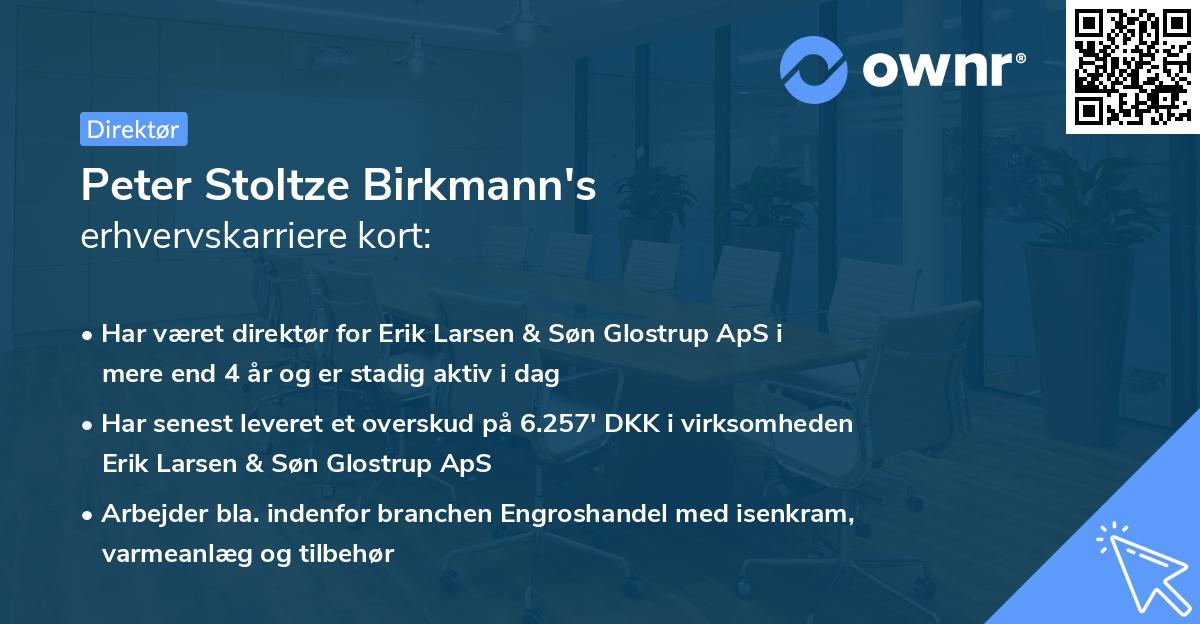 Peter Stoltze Birkmann's erhvervskarriere kort