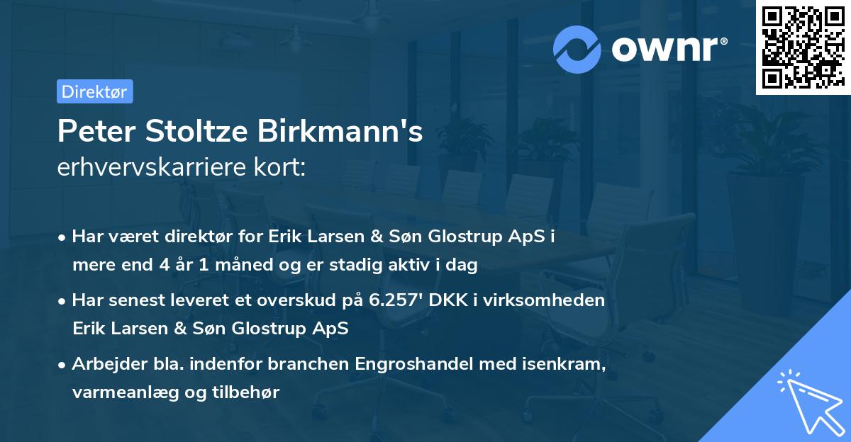 Peter Stoltze Birkmann's erhvervskarriere kort