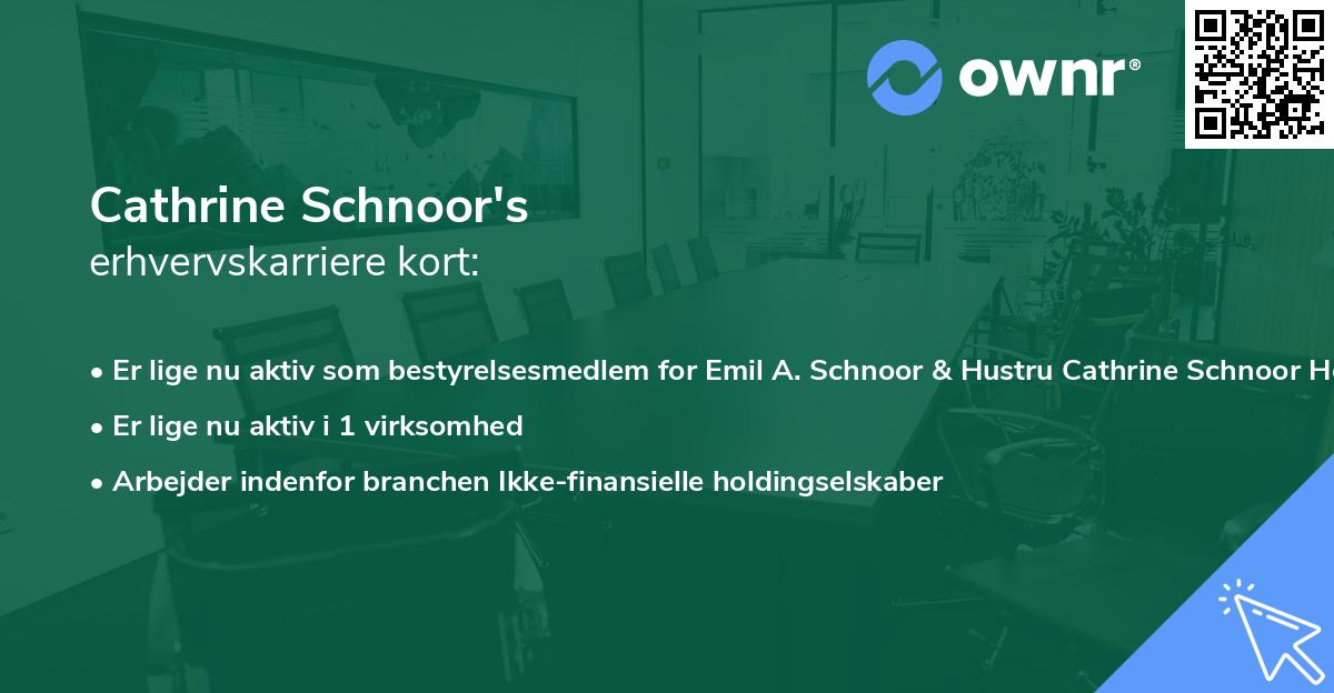 Cathrine Schnoor's erhvervskarriere kort