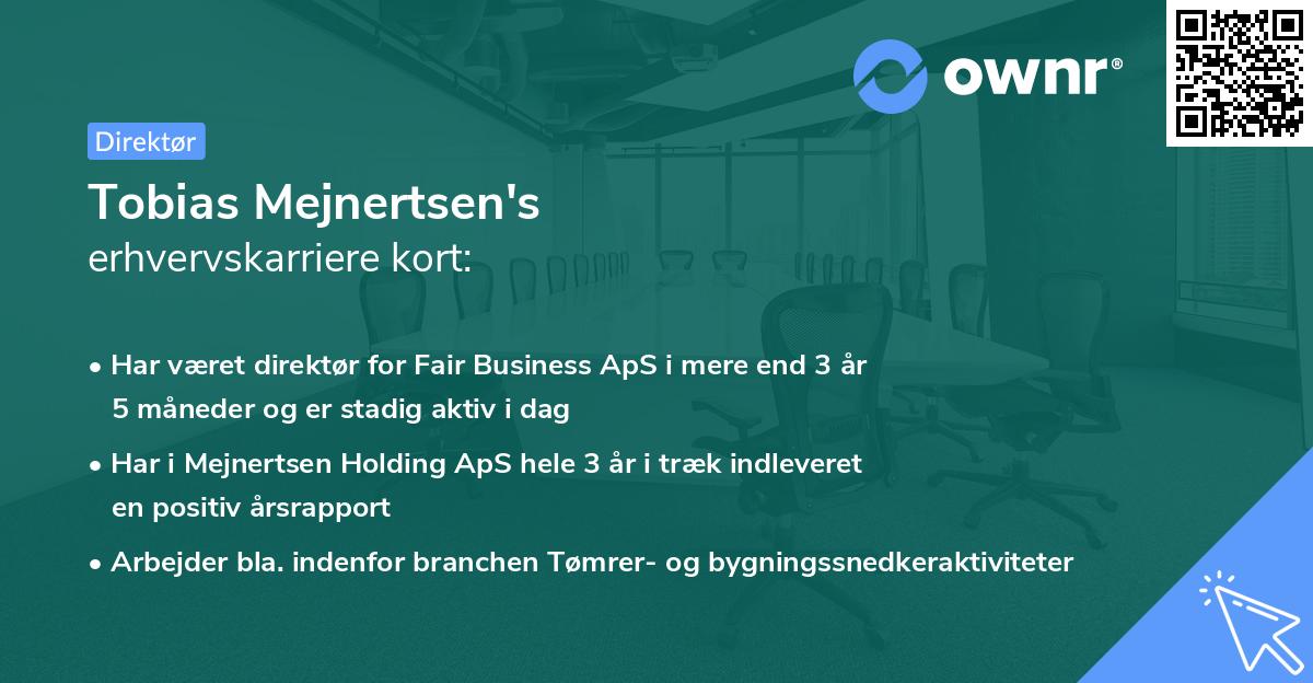 Tobias Mejnertsen's erhvervskarriere kort