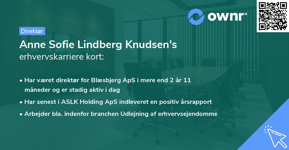 Anne Sofie Lindberg Knudsen's erhvervskarriere kort