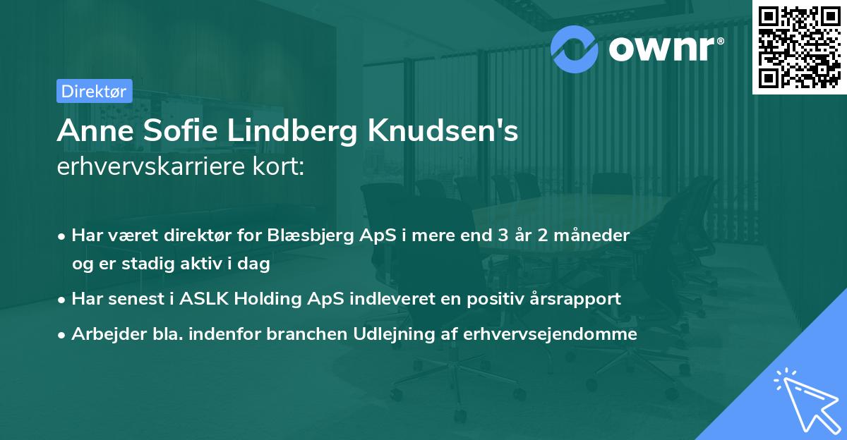 Anne Sofie Lindberg Knudsen's erhvervskarriere kort