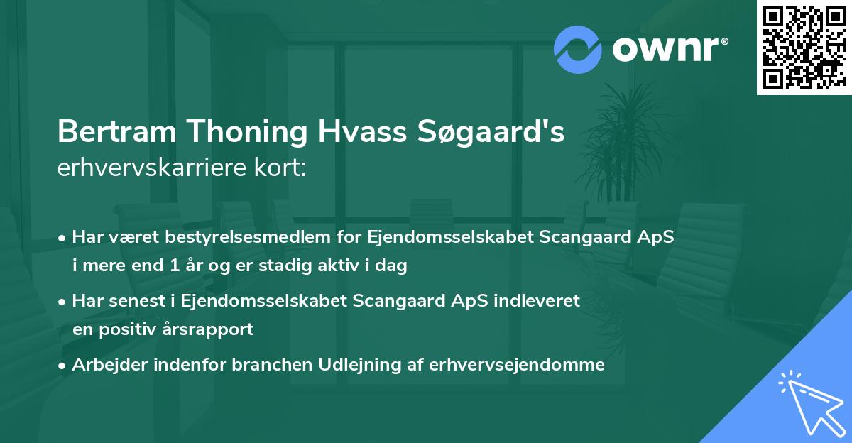 Bertram Thoning Hvass Søgaard's erhvervskarriere kort