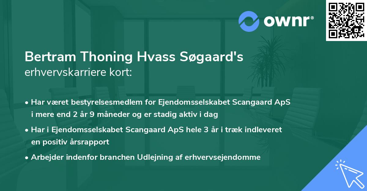 Bertram Thoning Hvass Søgaard's erhvervskarriere kort