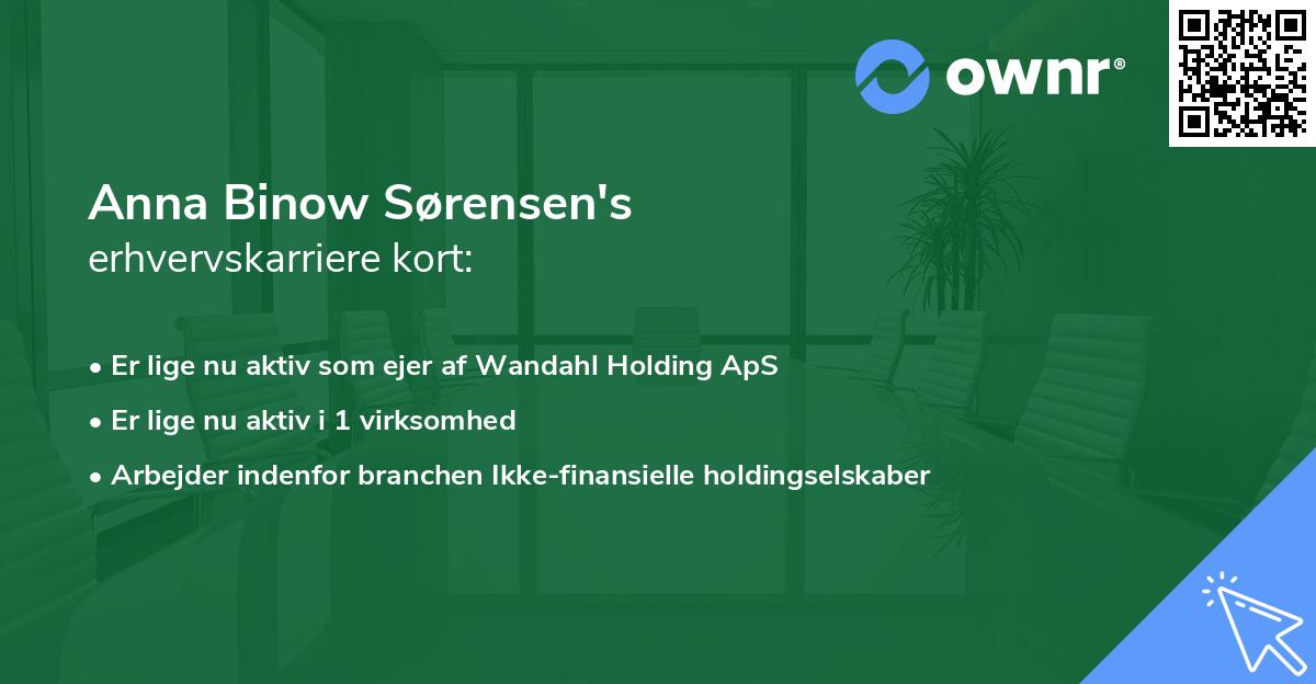 Anna Binow Sørensen's erhvervskarriere kort